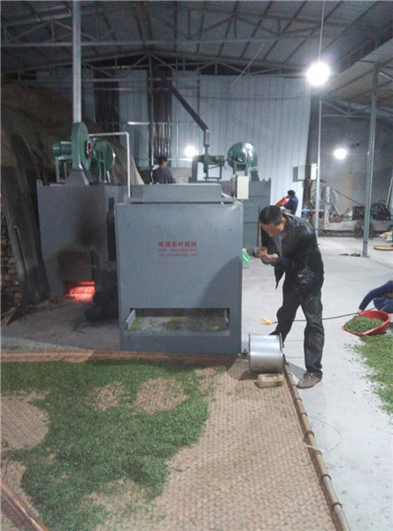 茶叶加工现场